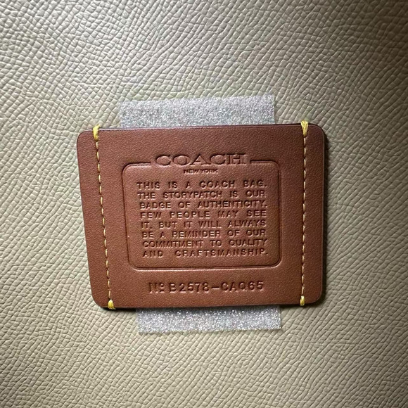 Coach Mollie Tote Bag With Strawberry Print In Canvas/Gold/Chalk CAQ65 NWT - Picture 9 of 9